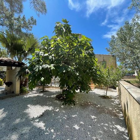 Marseillan Plage Joli T2 Eksteriør billede